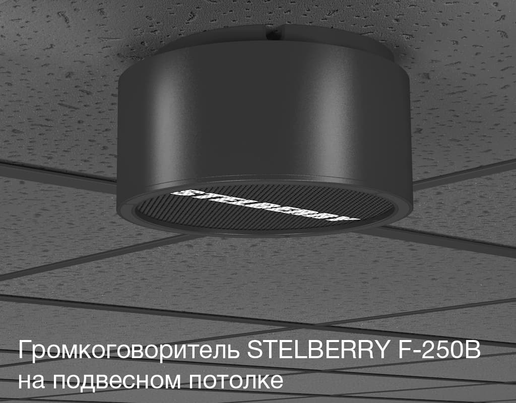 Громкоговоритель для системы оповещения Антитеррор STELBERRY F-250B гармонично смотрится на подвесном потолке