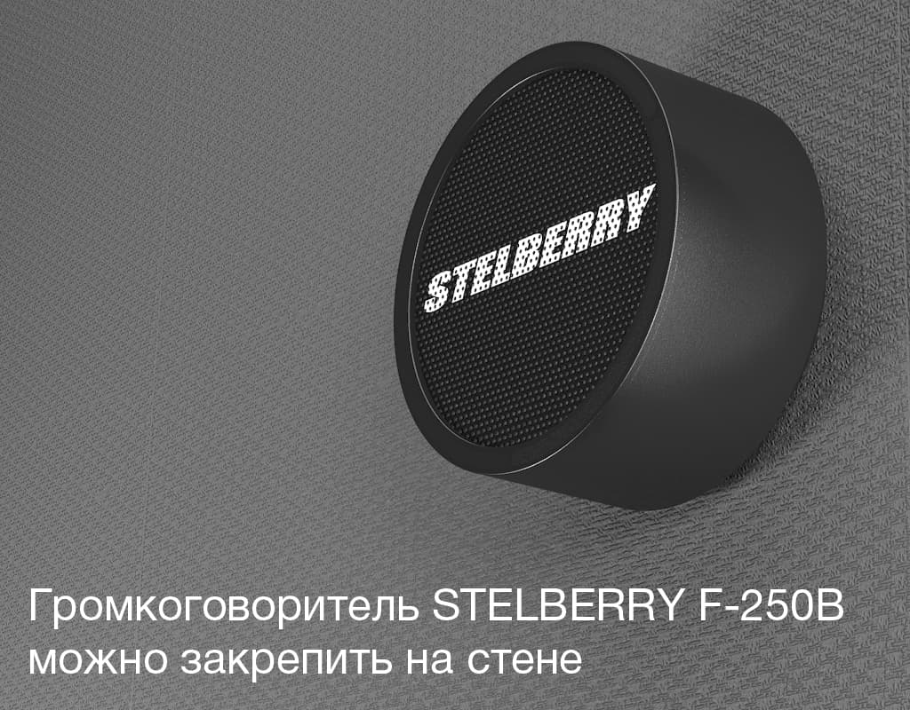 Громкоговоритель STELBERRY F-250B можно расположить на любой стене