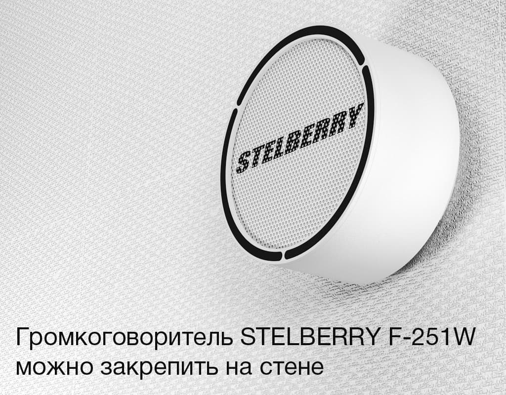 Громкоговоритель STELBERRY F-251W можно расположить на любой стене