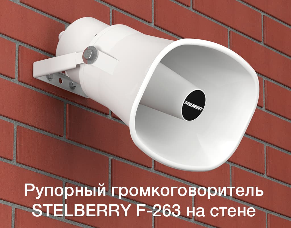 STELBERRY F-263 можно расположить на любой стене