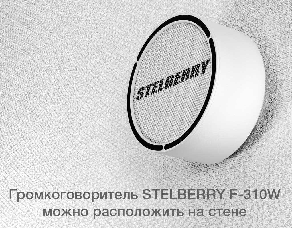 STELBERRY F-310W можно расположить на любой стене
