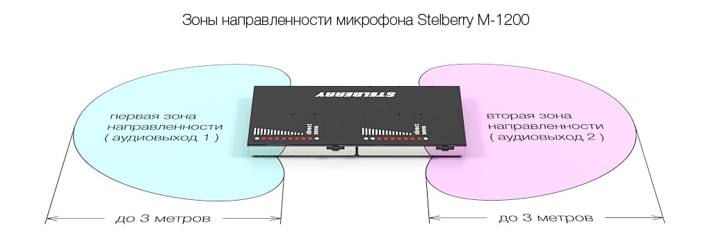 Зона направленности микрофона STELBERRY M-1200